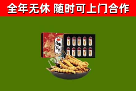 梅州烟酒回收冬虫夏草礼盒.jpg